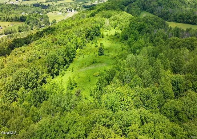 Photo 3 of Land for sale at L16 Bush St, Cobleskill, NY 12043 | MLS# 202619086 | Listing updated on 2026-06-11
