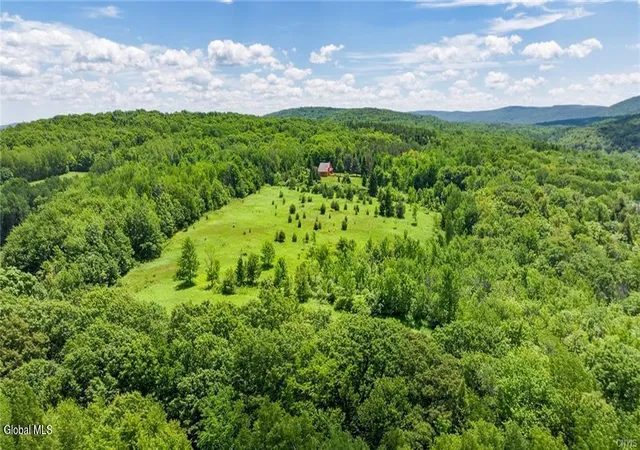 Photo 4 of Land for sale at L16 Bush St, Cobleskill, NY 12043 | MLS# 202619086 | Listing updated on 2026-06-11