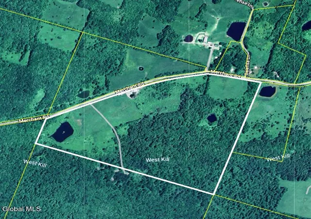 Homes for sale in Jefferson, NY | 320 Merchant Rd, Jefferson, NY 12093 | MLS# 202619252
