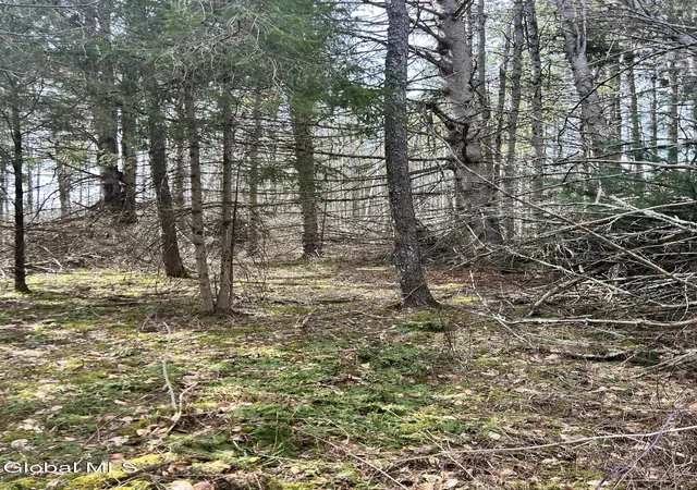 Homes for sale in Petersburgh, NY | Lot 634 Weaver Dam Rd, Petersburgh, NY 12138 | MLS# 202619341
