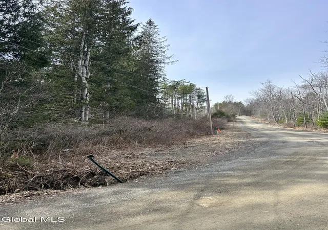 Homes for sale in Petersburgh, NY | Lot 634 Weaver Dam Rd, Petersburgh, NY 12138 | MLS# 202619341