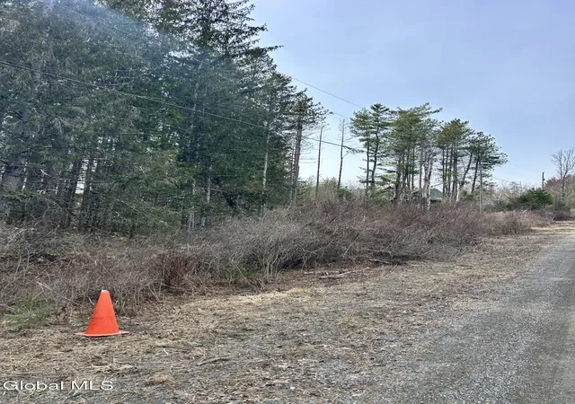 Homes for sale in Petersburgh, NY | Lot 634 Weaver Dam Rd, Petersburgh, NY 12138 | MLS# 202619341