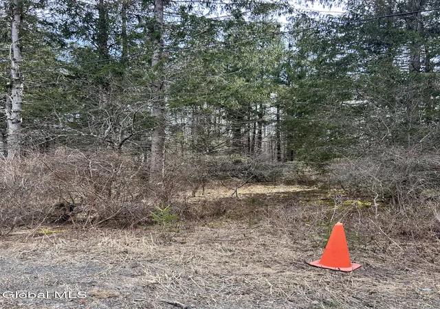 Homes for sale in Petersburgh, NY | Lot 634 Weaver Dam Rd, Petersburgh, NY 12138 | MLS# 202619341