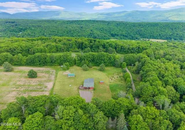 Homes for sale in Gilboa, NY | 368 Brand Rd, Gilboa, NY 12076 | MLS# 202619604