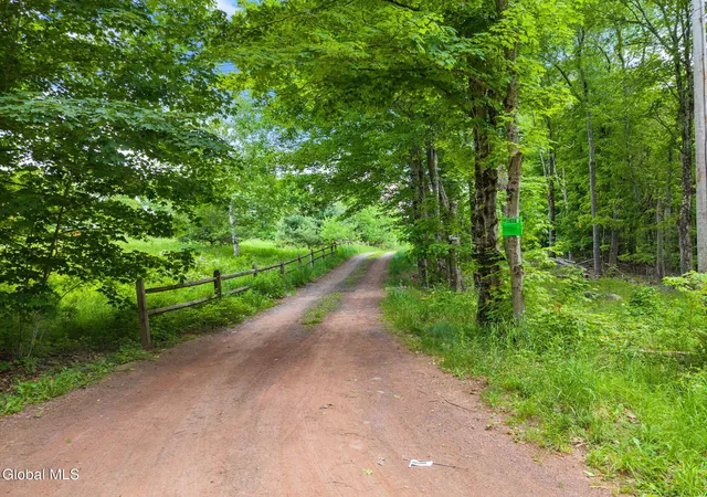 53rd image of 368 Brand Rd, Gilboa, NY 12076 | MLS# 202619604