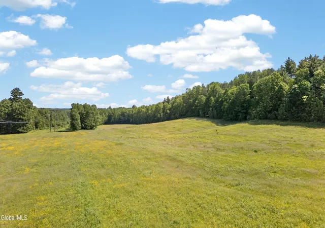 3rd image of L1 County Hwy 106, Amsterdam, NY 12010 | MLS# 202619473
