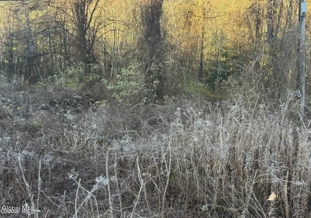 1st image of L8 Rr 9, Lake George, NY 12845 | MLS# 202620146