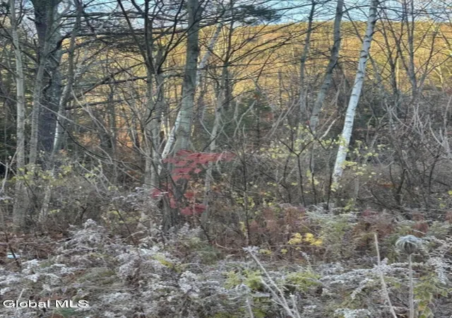 Photo 4 of Land for sale at L8 Rr 9, Lake George, NY 12845 | MLS# 202620146 | Listing updated on 2026-10-02