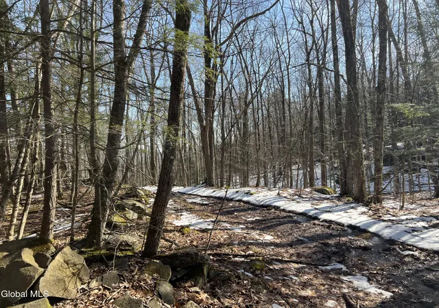 37th image of 536 Bates Forest Rd, Gilboa, NY 12076 | MLS# 202619568