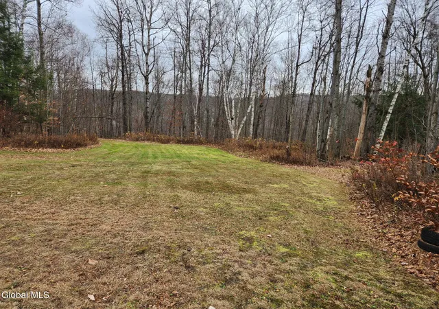 2nd image of L702 Truax Rd, Worcester, NY 12197 | MLS# 202619732