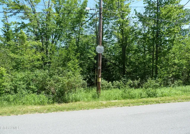 Homes for sale in Hunter, NY | L14 Berry Ln, Hunter, NY 12442 | MLS# 202619917