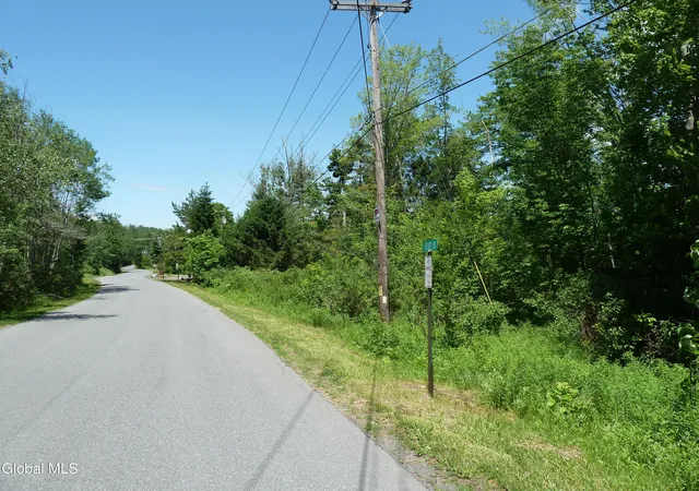 Homes for sale in Hunter, NY | L14 Berry Ln, Hunter, NY 12442 | MLS# 202619917