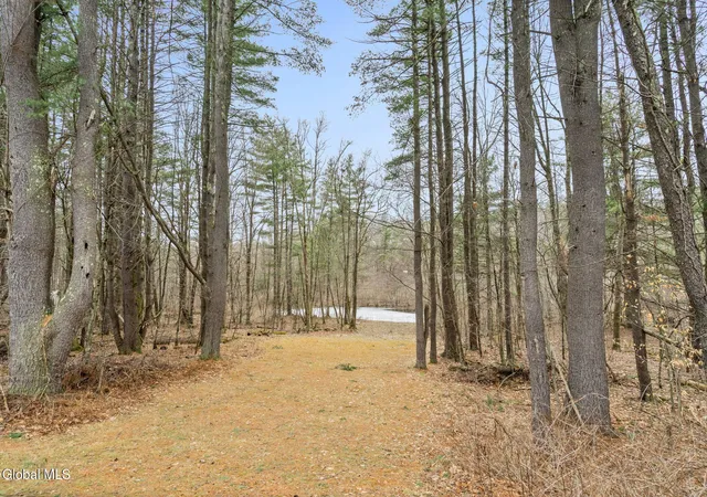 Homes for sale in New Lebanon, NY | 186 W Hand Hill Rd, New Lebanon, NY 12062 | MLS# 202619721
