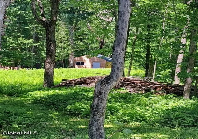 Homes for sale in Petersburg, NY | 45 Weaver Dam Rd, Petersburg, NY 12138 | MLS# 202619813