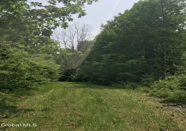 Homes for sale in Chatham, NY | L8 Lower Cady Rd, Chatham, NY 12136 | MLS# 202620005