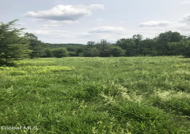 Homes for sale in Chatham, NY | L8 Lower Cady Rd, Chatham, NY 12136 | MLS# 202620005