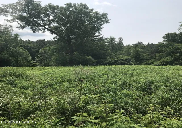 Homes for sale in Chatham, NY | L8 Lower Cady Rd, Chatham, NY 12136 | MLS# 202620005