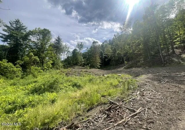 Homes for sale in Petersburgh, NY | 20419 State Route 22, Petersburgh, NY 12138 | MLS# 202620006
