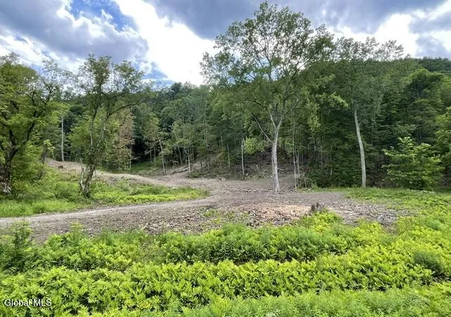 Homes for sale in Petersburgh, NY | 20419 State Route 22, Petersburgh, NY 12138 | MLS# 202620006