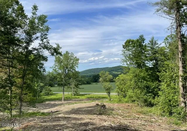 Homes for sale in Petersburgh, NY | 20419 State Route 22, Petersburgh, NY 12138 | MLS# 202620006