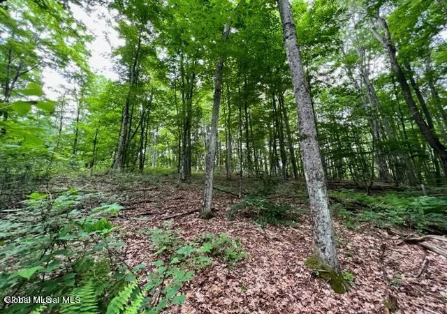 Homes for sale in Johnstown, NY | L 671 Mcgregor Rd #Lot 1, Johnstown, NY 12078 | MLS# 202620091