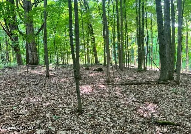 Homes for sale in Johnstown, NY | L 671 Mcgregor Rd #Lot 1, Johnstown, NY 12078 | MLS# 202620091