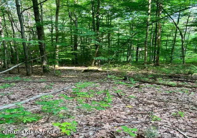 Homes for sale in Johnstown, NY | L 671 Mcgregor Rd #Lot 1, Johnstown, NY 12078 | MLS# 202620091