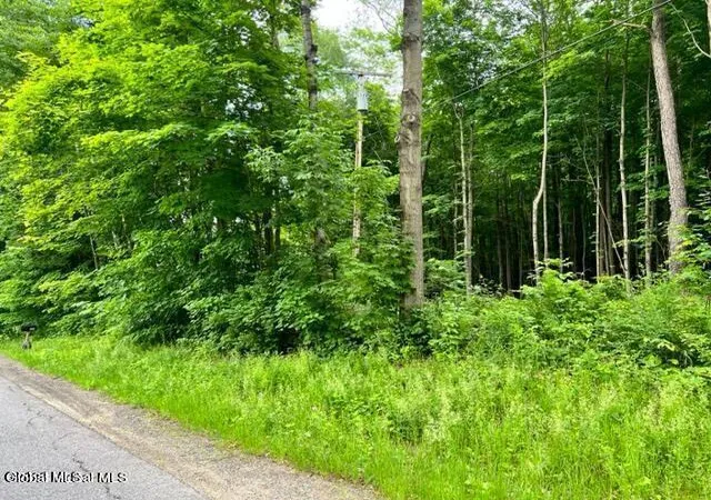 Homes for sale in Johnstown, NY | L 671 Mcgregor Rd #Lot 1, Johnstown, NY 12078 | MLS# 202620091