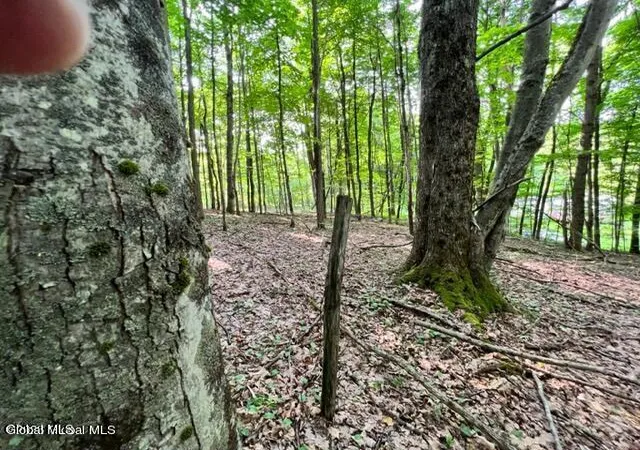 Homes for sale in Johnstown, NY | L 671 Mcgregor Rd #Lot 1, Johnstown, NY 12078 | MLS# 202620091