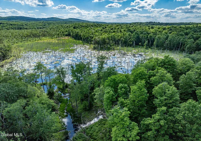 5th image of 269 Federal City Rd, Middleburgh, NY 12122 | MLS# 202620110