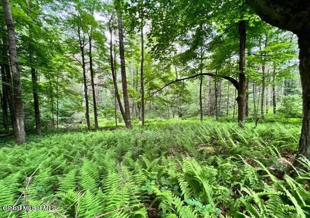 Homes for sale in Johnstown, NY | L 671 Mcgregor Rd #Lot 2, Johnstown, NY 12078 | MLS# 202620102