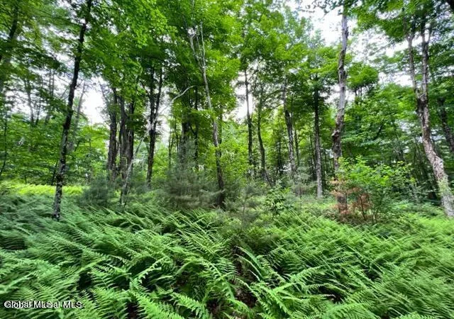 Homes for sale in Johnstown, NY | L 671 Mcgregor Rd #Lot 2, Johnstown, NY 12078 | MLS# 202620102