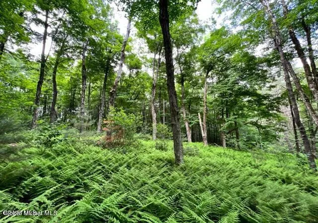 4th image of L 671 Mcgregor Rd #Lot 2, Amsterdam, NY 12010 | MLS# 202620102