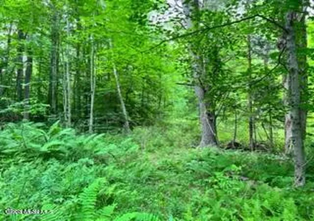 Homes for sale in Johnstown, NY | L 671 Mcgregor Rd #Lot 4, Johnstown, NY 12078 | MLS# 202620104