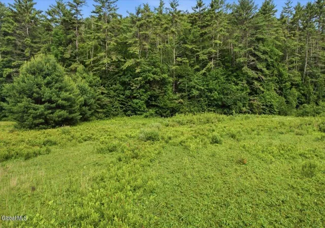 Homes for sale in Warrensburg, NY | L 63 Schroon River Rd, Warrensburg, NY 12885 | MLS# 202620261