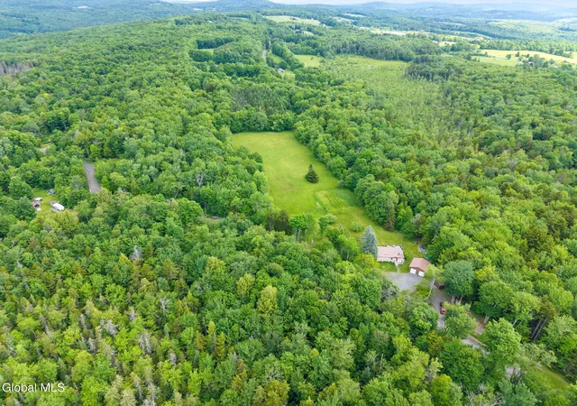 Homes for sale in Jefferson, NY | 615 Arabia Rd, Jefferson, NY 12093 | MLS# 202620560