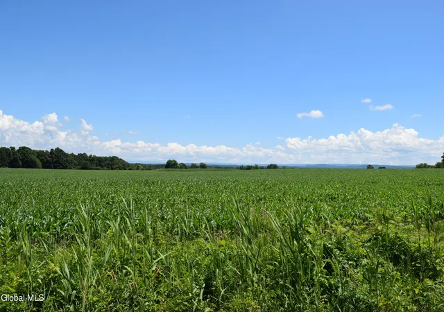 Land for sale at 115 Farm To Market Rd, Mechanicville, NY 12118 | MLS# 202620342