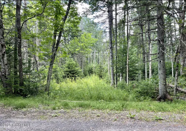 2nd image of L13 Balsam Dr, Indian Lake, NY 12842 | MLS# 202620405