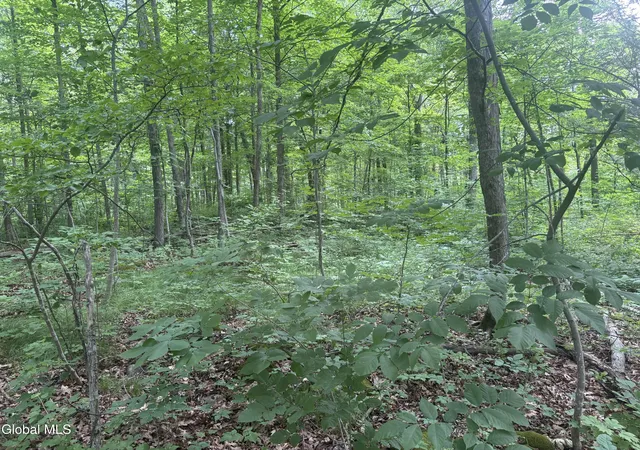 2nd image of L1022 Delaware, New Scotland, NY 12054 | MLS# 202620803