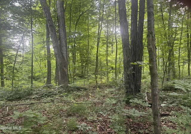 3rd image of L1022 Delaware, New Scotland, NY 12054 | MLS# 202620803