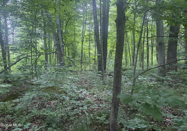 4th image of L1022 Delaware, New Scotland, NY 12054 | MLS# 202620803