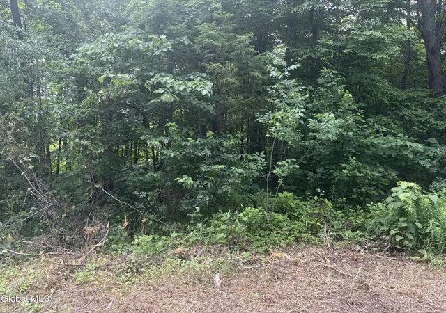 5th image of L1022 Delaware, New Scotland, NY 12054 | MLS# 202620803