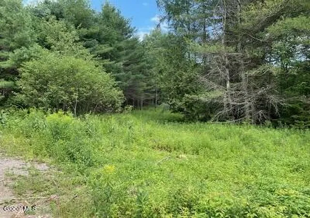Homes for sale in North Hudson, NY | 623 Johnson Pond Rd, North Hudson, NY 12855 | MLS# 202620446