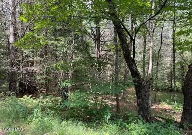 Homes for sale in North Hudson, NY | 623 Johnson Pond Rd, North Hudson, NY 12855 | MLS# 202620446
