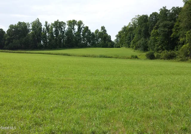 1st image of L1422 Oswegatchie Rd, Palatine Bridge, NY 13428 | MLS# 202620454