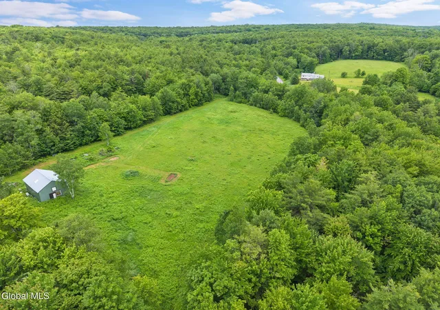 Homes for sale in Gilboa, NY | 159 Ely Rd, Gilboa, NY 12076 | MLS# 202620609