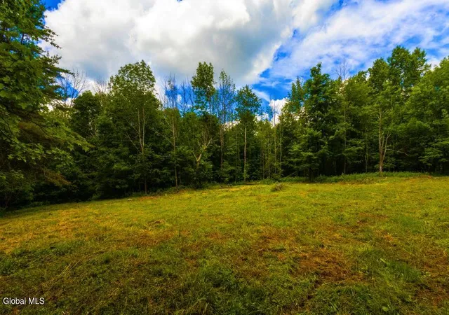 1st image of L1 Anderson Rd, Middleburgh, NY 12122 | MLS# 202620684