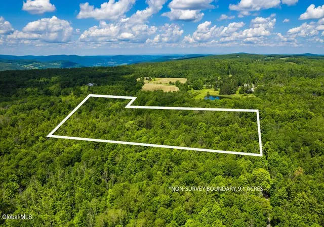 4th image of L1 Anderson Rd, Middleburgh, NY 12122 | MLS# 202620684
