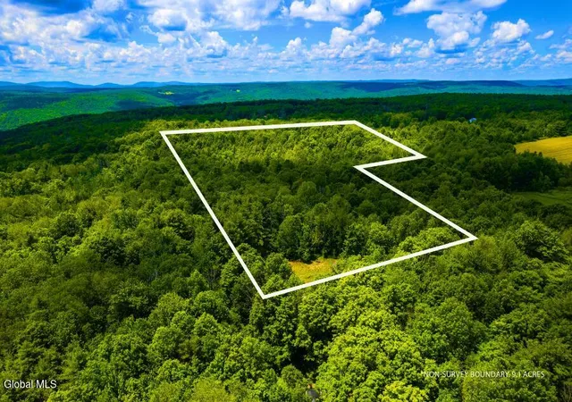 5th image of L1 Anderson Rd, Middleburgh, NY 12122 | MLS# 202620684