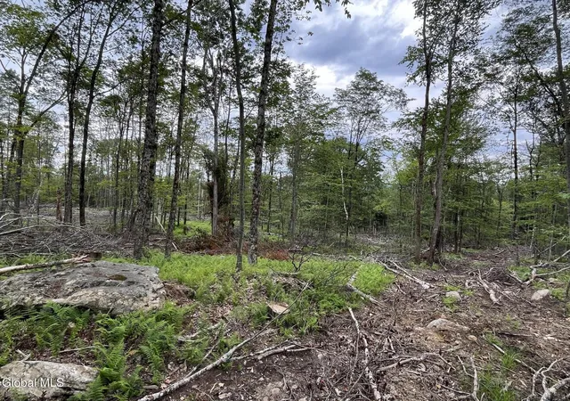 Homes for sale in Grafton, NY | 162 Crandall Rd, Grafton, NY 12138 | MLS# 202620782